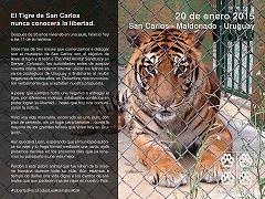 Convocan a una manifestación en el Zoo de San Carlos