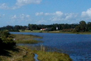 Laguna del Diario: sugieren retirar plantas, controlar nutrientes y aportar agua marina