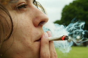 Dictarán en Piriápolis un taller de autocultivo de cannabis
