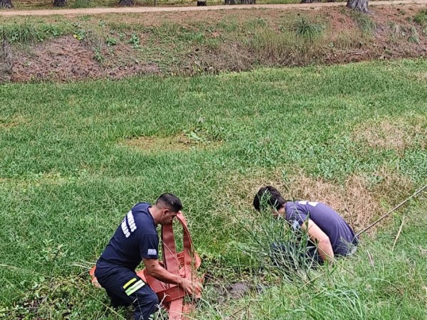 Bomberos logró salva...