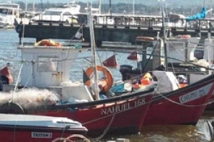 Sesiona el concejo local de pesca de Piriápolis