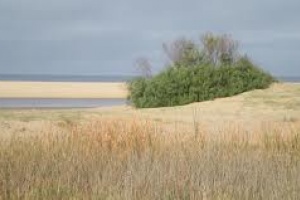 Prefectura y Brigada de Guardavidas buscan a un hombre desaparecido en el arroyo El Potrero. 