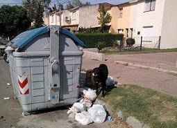 Huesos hallados en contenedor eran material de estudio 