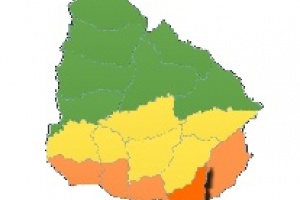 Maldonado en advertencia anaranjada por fuertes vientos