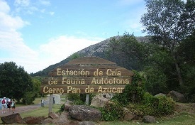 Autoridades visitan obras en la Reserva de Fauna de Pan de Azúcar