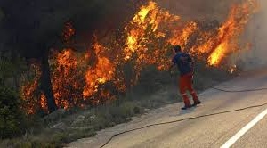 Bomberos apagaron dos incendios en El Potrero