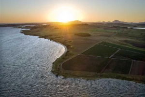 Intendencia recomendó evitar bañarse en la Laguna del Sauce por informe de OSE