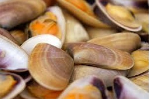 Dinara mantiene alerta por marea roja