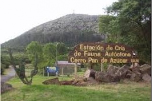 Intendencia invierte 20 millones entre Necrópolis y Reserva de Fauna