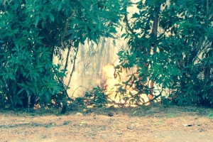 Bomberos sofoca incendio en Las Cumbres y fue desalojado el hotel de ese lugar