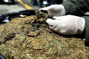 Dos hombres fueron detenidos en moto robada con ramas de marihuana