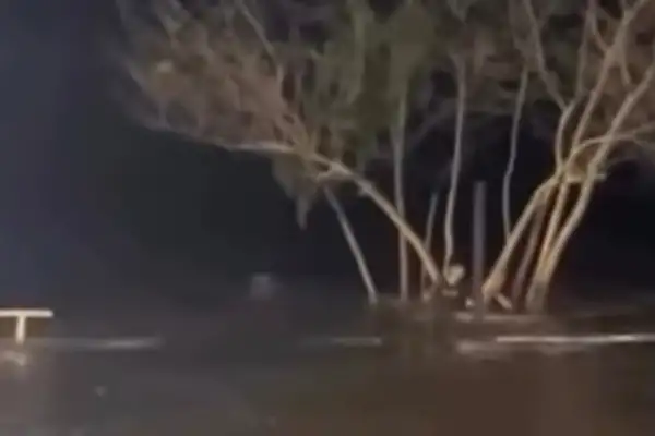 Rescataron a dos per...