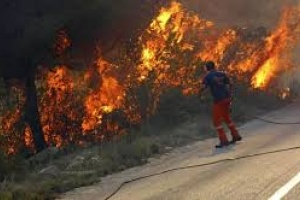 Bomberos de Piriápolis y Pan de Azúcar combaten incendio en Cerro del Toro