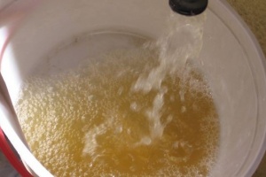 Agua que no has de beber: Coliformes y focos de agua no potable en Maldonado según OSE