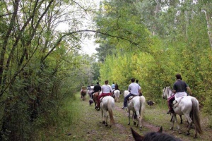 Capacitan a empresas que trabajan en el área rural y natural