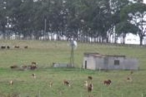 Deficiencia hídrica: ya se entregaron 90 mil litros de agua en Maldonado