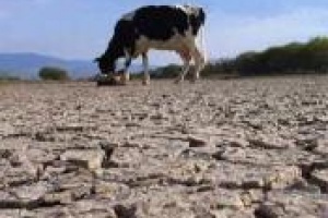 Nuevo plazo de la convocatoria dirigida a productores familiares