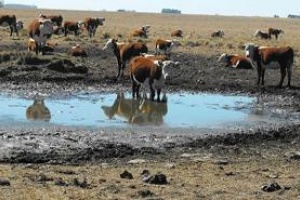 Santiago Medina describió un panorama agropecuario muy comprometido