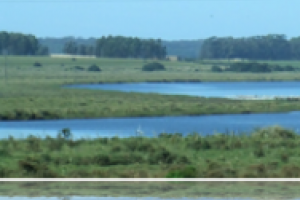 Congresistas de Ramsar recorrerán Ecoparque del Humedal del arroyo Maldonado