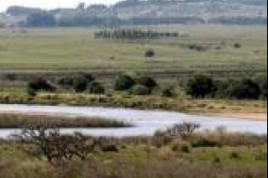 Así será la 12ª Convención de Ramsar en Punta del Este