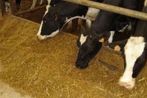 Arribó primer envío de ración por emergencia agropecuaria