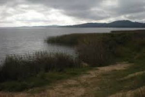 Convocan a limpiar Laguna del Sauce