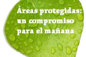 Buscan que Ecoparque del humedal Salino, del arroyo Maldonado, ingrese al sistema de áreas protegidas
