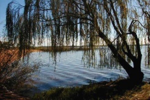 La zona de Laguna del Sauce registró la más baja temperatura