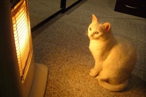 Se registró consumo más alto de energía en lo que va del año