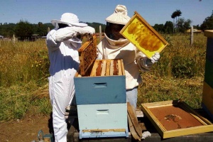 Informalidad de productores y poco acceso al crédito sorprende a las autoridades