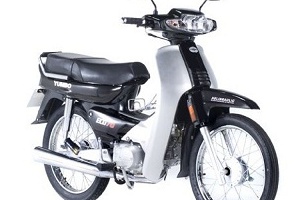 Procesaron a joven que robó una moto del patio de una casa en San Rafael