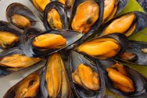 DINARA mantiene alerta por Marea Roja