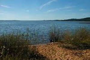 Calidad del agua en Laguna del Sauce mejoró gracias a bajas temperaturas