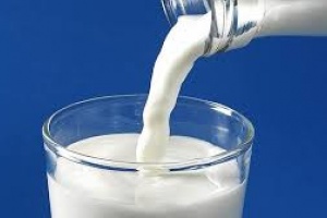 Sector lácteo: Trabajadores señalan que la situación es muy compleja y piden presencia del gobierno
