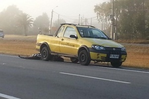Otra muerte y otra fuga
