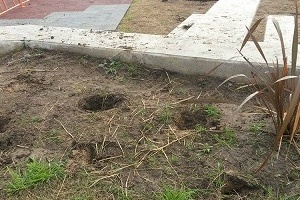 Vandalizaron pista de skate de Maldonado Nuevo