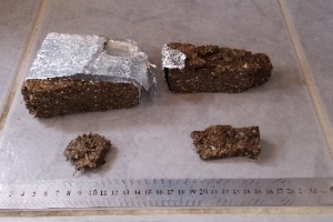 A la cárcel los tres hombres que fueron detenidos con 358 gramos de marihuana