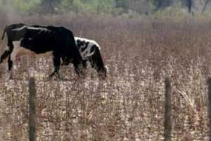 Finalizó operativo por la Emergencia Agropecuaria