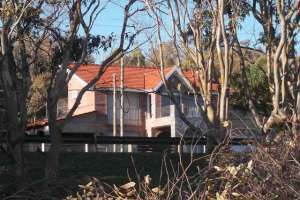 Talaron árboles frente a la casa de un reconocido futbolista: municipio denunció