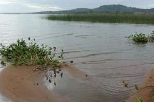 Antía pide anuencia a la junta para tomar medidas cautelares a efectos de proteger Laguna del Sauce