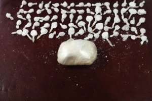 Droga incautada y 14 detenidos como saldo primario de la Operación Zorro Negro