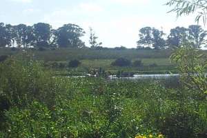 Accidente en Laguna del Sauce;  está trabada la investigación 