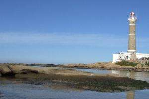 Licitan explotación comercial de parador desmontable en José Ignacio