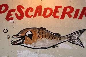 Robaron en una pescadería en el centro de Maldonado