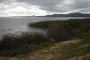 Exponen sobre impacto ambiental en la Costa y Lagunas