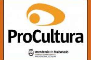 Diez proyectos ProCultura 2014 se han concretado
