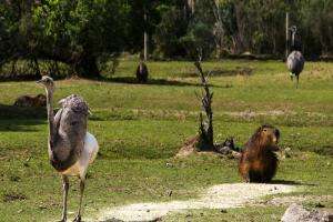 MSP capacitó a funcionarios de la Estación de Cría de Fauna Autóctona