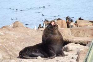 Temas ambientales de la región se analizarán en Punta del Este 