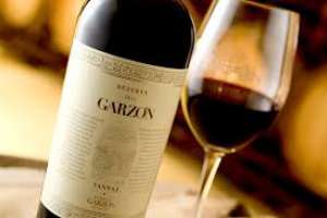 El distintivo Tannat mineral de Maldonado descubierto por Bloomberg