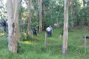 Restos óseos de una persona fueron encontrados en la zona próxima a Pinares y son analizados por los peritos forenses